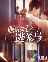 《眼泪女王之逃笼鸟》：豪门婚姻的窒息与救赎，她在爱中挣脱牢笼？