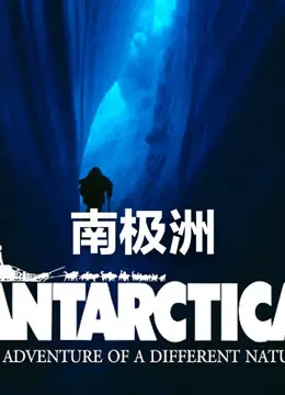 《南极洲》：以为是爱情长跑，结果是个大型“吃货”现场？