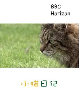 《地平线系列：小猫日记》：记录萌宠的治愈瞬间，探索生命中的温暖奇迹