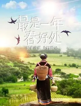 最是一年春好处 海报