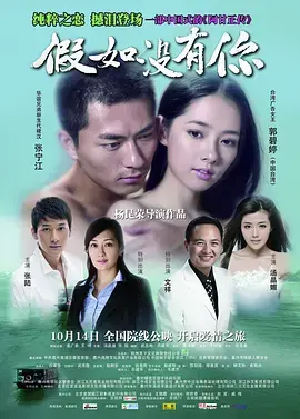 假如没有你 海报