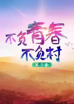 不负青春不负村 第三季 海报